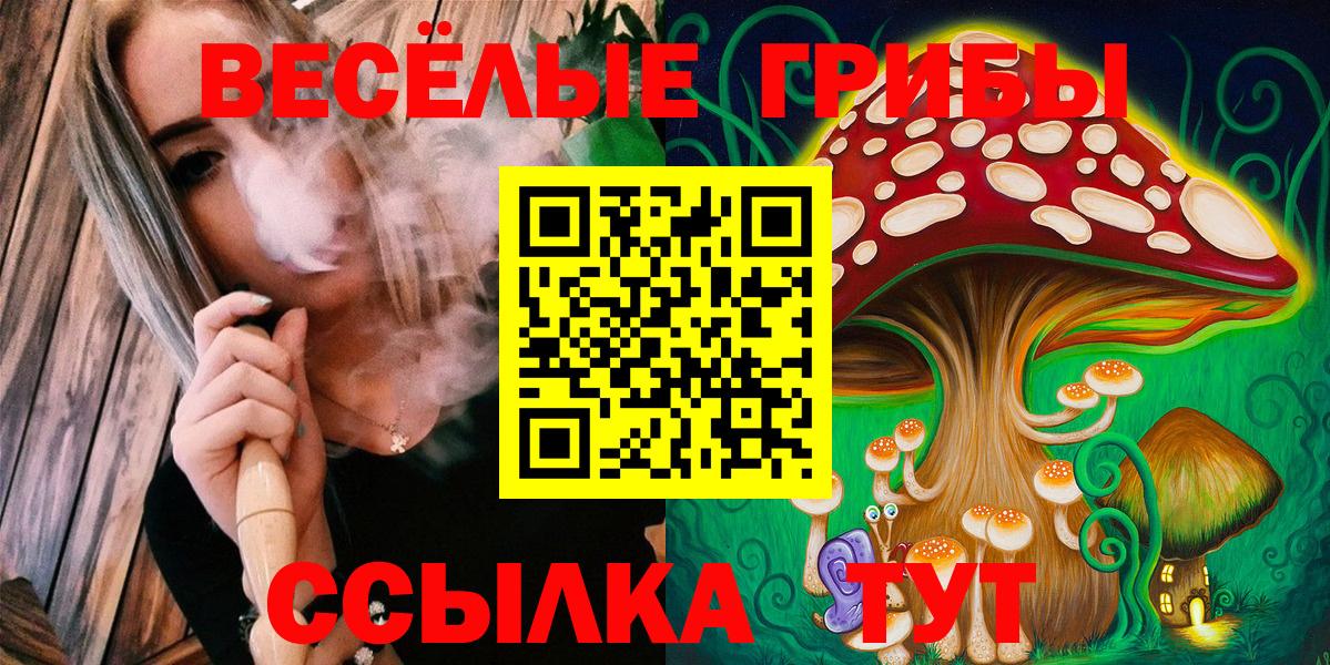 Галлюциногенные грибы Psilocybe  Галлюциногенные грибы прущие грибы  Электрогорск  Вход с VPN 